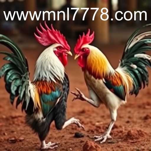 Cockfighting