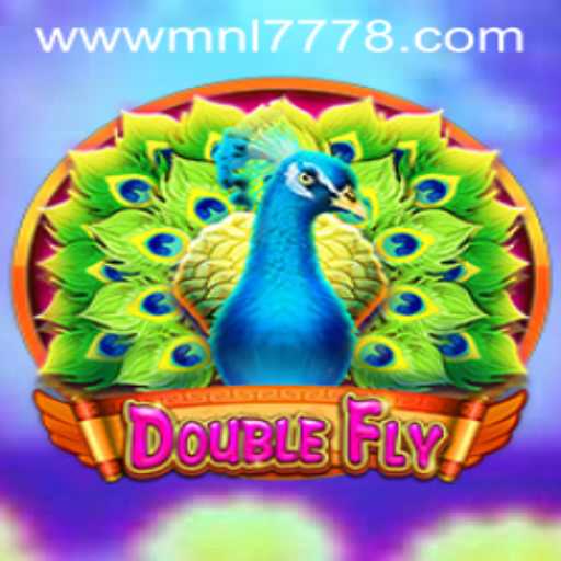Exploring the Thrilling World of DoubleFly: A Game of Strategy and Skill